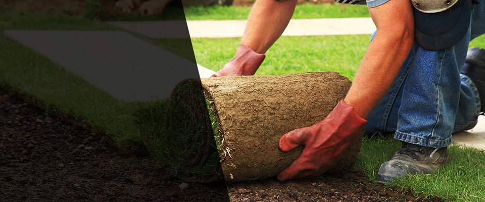 Bloomfield Hills Landscapers